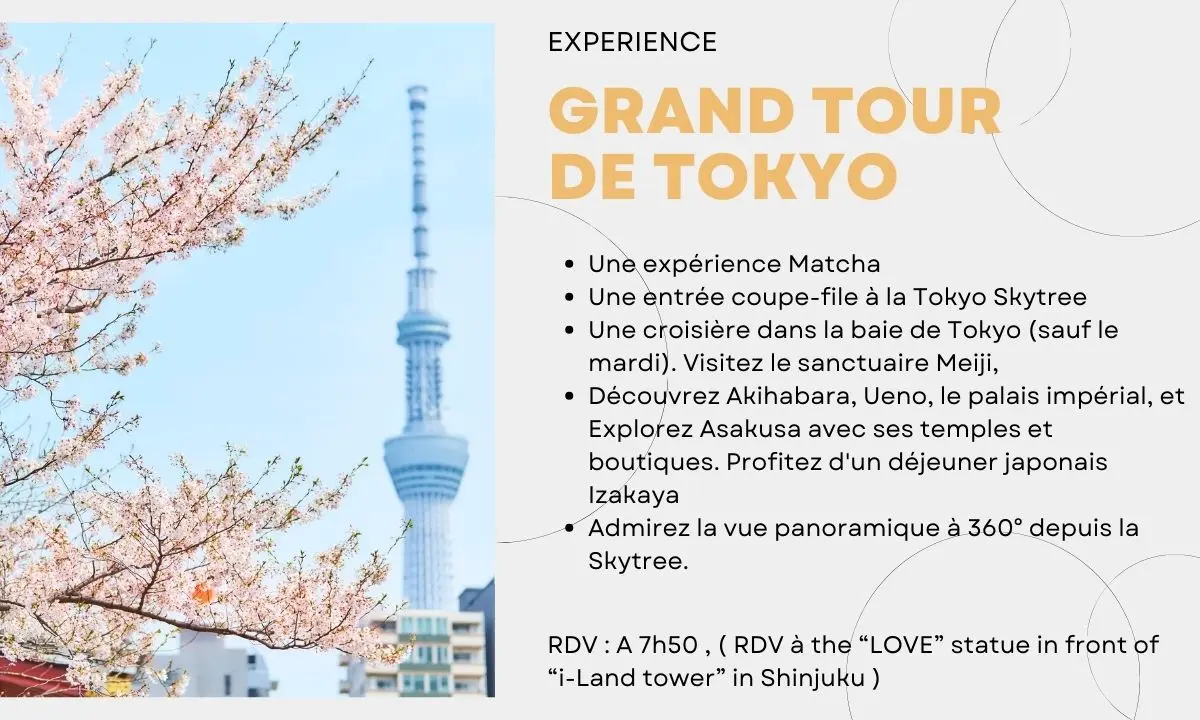 grand tour tokyo experience