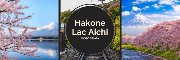 hakone fuji aichi