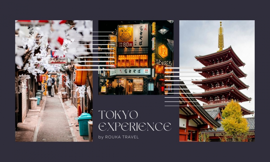 Voyage à Tokyo au Japon