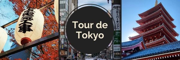 programme voyage tokyo