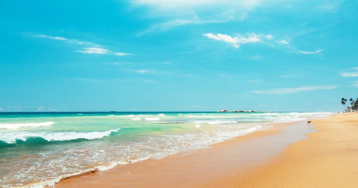Sri Lanka Hikkaduwa