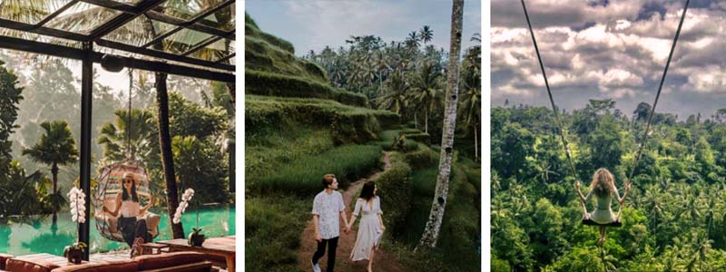 Ubud Experience