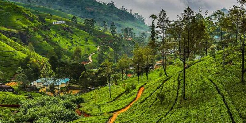 sri lanka nature 1