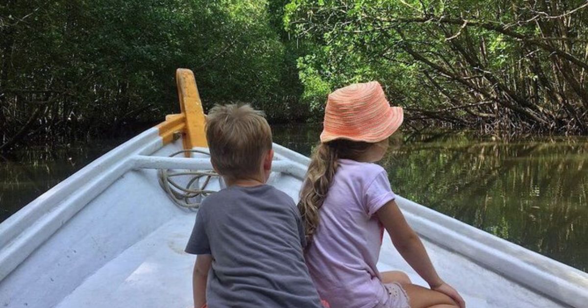 tour de mangrove kids