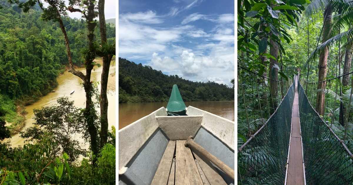 taman negara malaisie