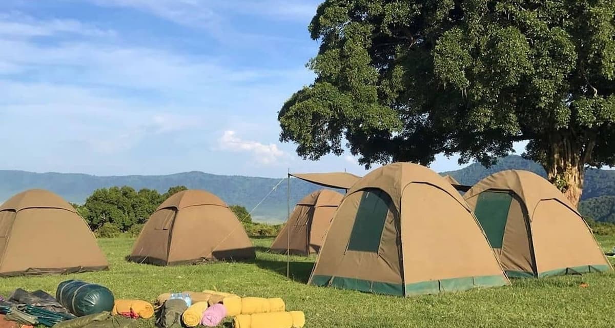 Camping Safari